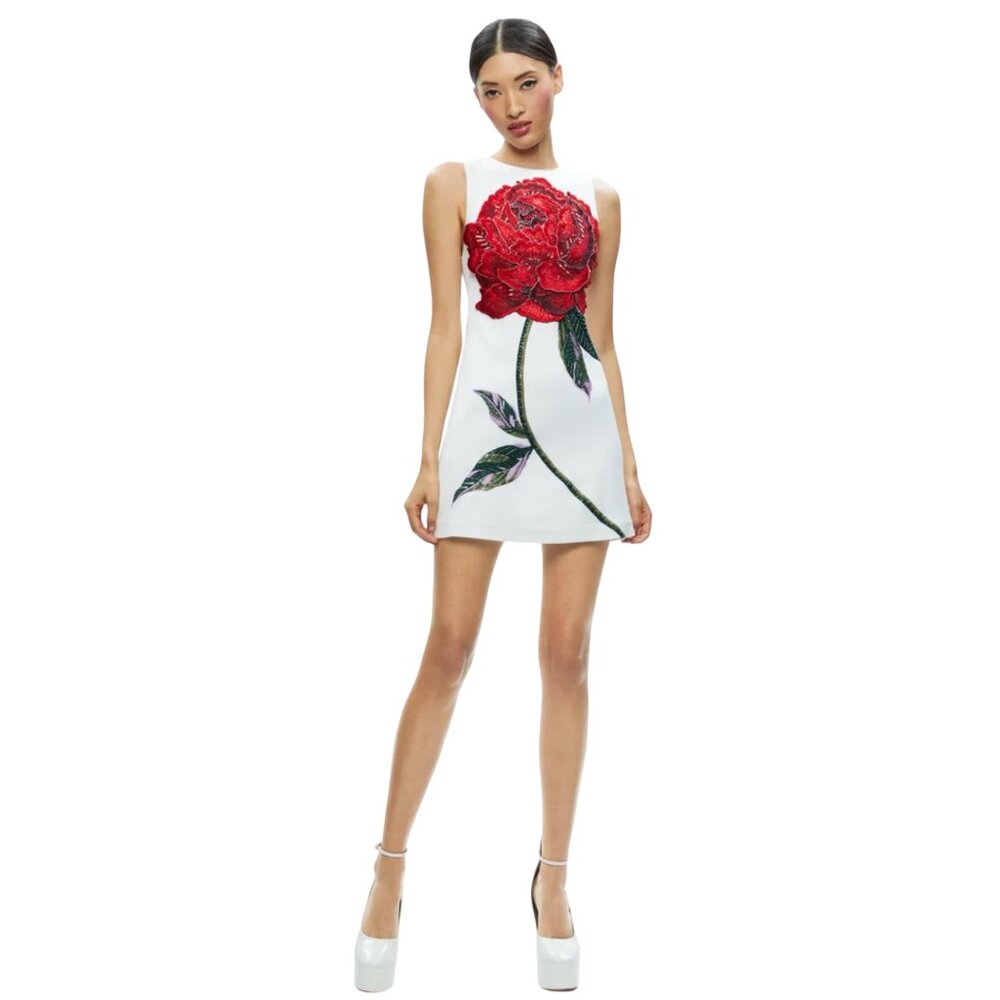 Alice + Olivia  clyde beaded rose shift dress Size 2 NEW - Picture 2 of 12